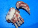 43. Lamb Rack 
